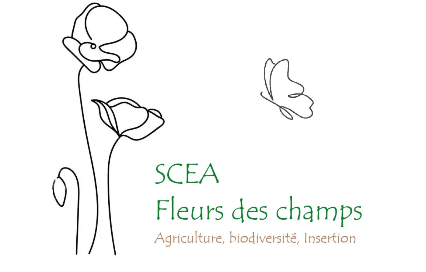 Logo-SCEA-Fleurs-des-champs-Semence-Nature