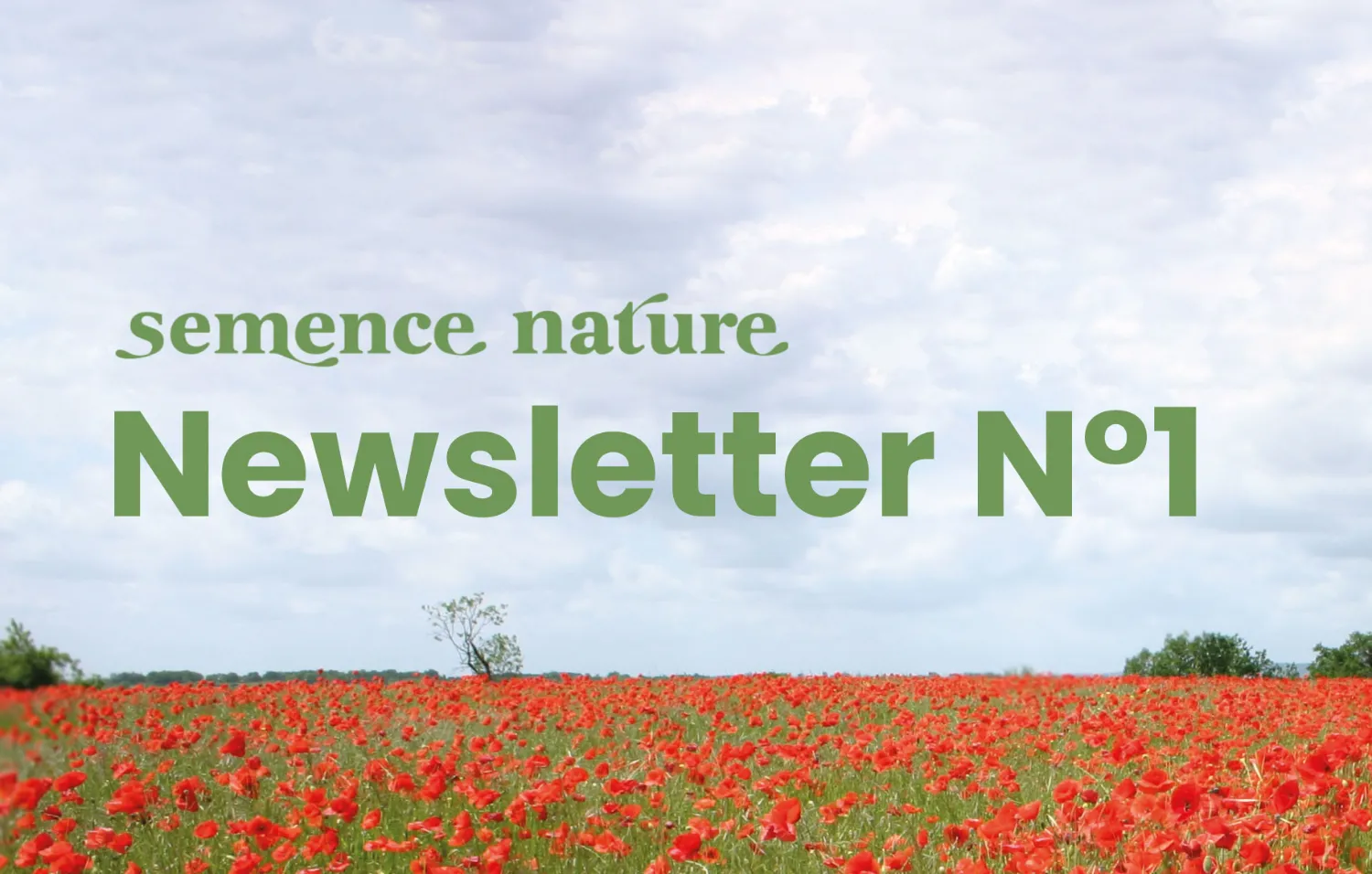 Semence-Nature-Newsletter-N°1