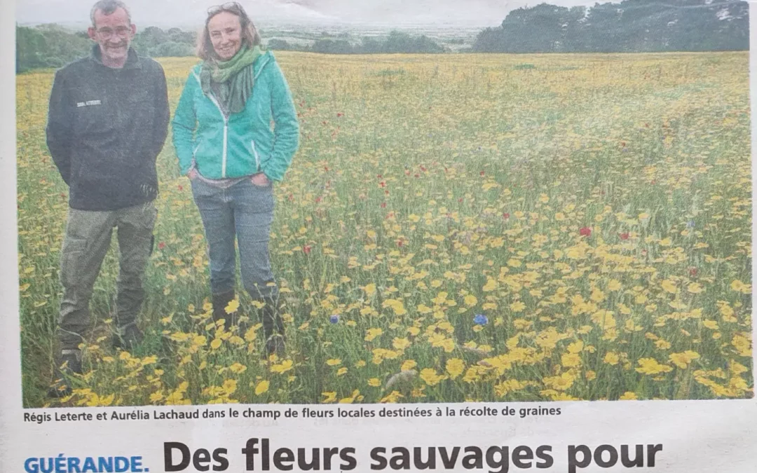 On parle de nous dans l’Echo de la Presqu’île