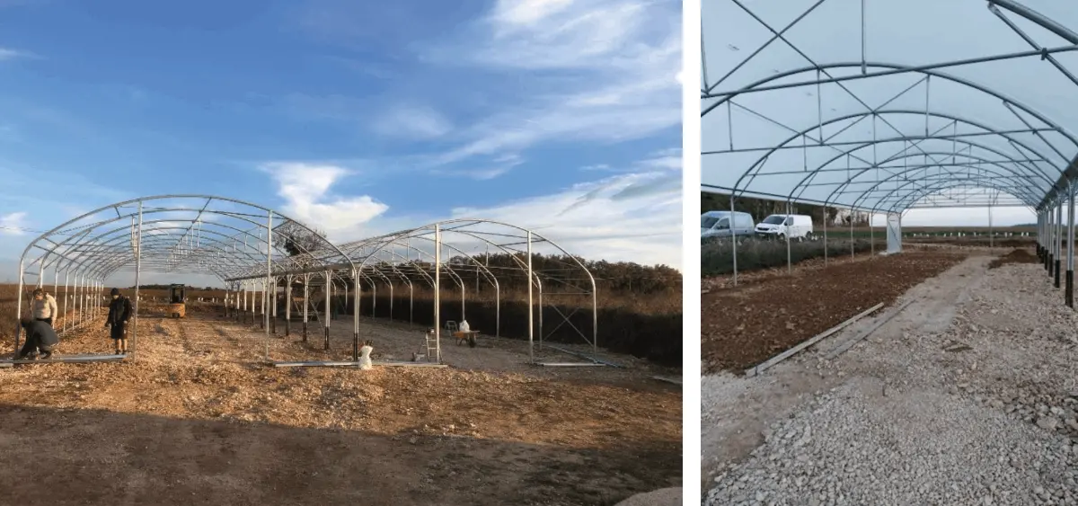 construction d’une grande serre de production de plants en Charente